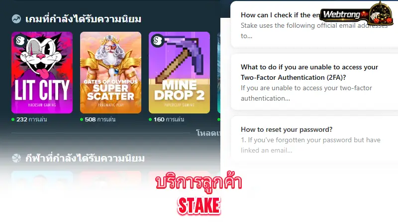 Stake-evaluating-Stake-customer-support