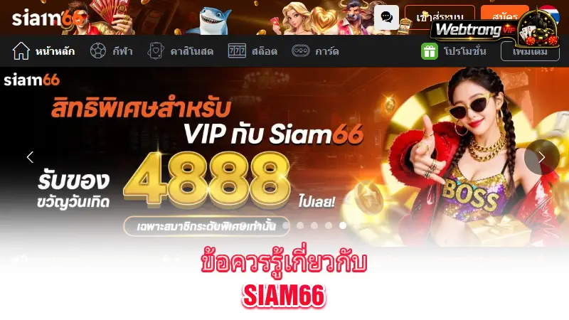 Siam66-benefits-and-important-checks