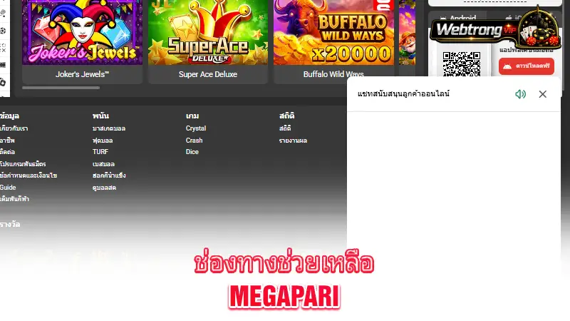 MegaPari-customer-support-channels